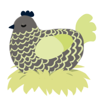 Figgy, a grey and lemon chicken with a lace pattern