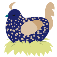 Starry Night, a navy and beige chicken with a speckle pattern