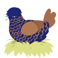 A navy and brown chicken with a lace pattern