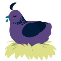 A overcast and tumblr chicken with a neck-speckle pattern