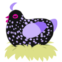 Lady Nighskye, a black and lilac chicken with a speckle pattern