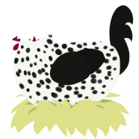 Cuter, a white and black chicken with a speckle pattern