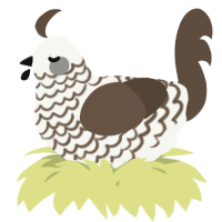 A white and bark chicken with a lace pattern