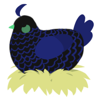 A black and navy chicken with a lace pattern