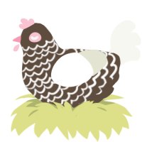 Cake Pop, a bark and white chicken with a lace pattern