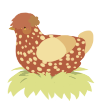 Rusty, a red and beige chicken with a speckle pattern