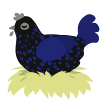 Meteorite, a black and navy chicken with a speckle pattern