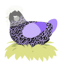 A sable and lilac chicken with a double-lace pattern