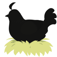 A black chicken with a neck-speckle pattern
