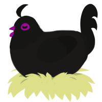 Pink void, a sable and black chicken with a head pattern