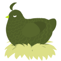 A olive chicken with a lace pattern