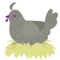 Silver, a ash chicken with a speckle pattern