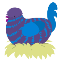 A overcast and sapphire chicken with a bar pattern