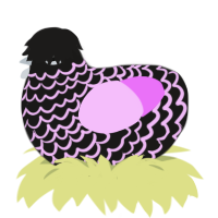 Sablemist, a sable and lavender chicken with a lace pattern