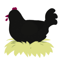 A black chicken with a speckle pattern