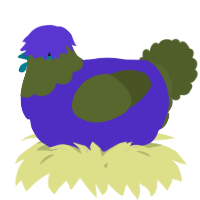 A indigo and olive chicken with a head pattern