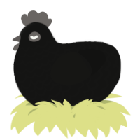 A black chicken with a lace pattern