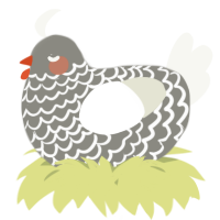 A ash and white chicken with a lace pattern