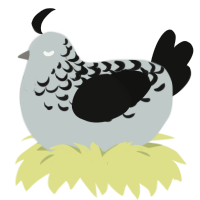 A silver and black chicken with a half-lace pattern