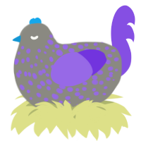 A ash and blurple chicken with a speckle pattern