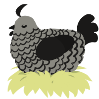 A ash and sable chicken with a lace pattern