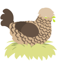 A beige and bark chicken with a lace pattern