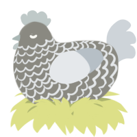 A ash and mist chicken with a lace pattern
