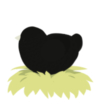 lack of leg, a black chicken with a lace pattern