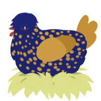 A navy and gold chicken with a speckle pattern