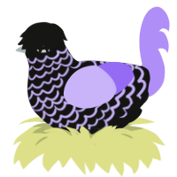 A black and lilac chicken with a lace pattern