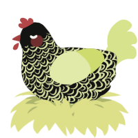 A black and lemon chicken with a double-lace pattern
