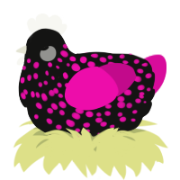 A black and fuchsia chicken with a speckle pattern