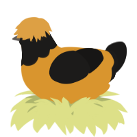 A orange and sable chicken with a head pattern