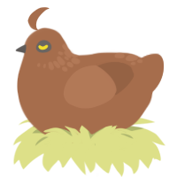 Truck Jr, a brown chicken with a neck-speckle pattern