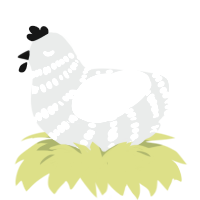 Mad World, a silver and white chicken with a bar pattern