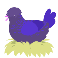 A overcast and indigo chicken with a half-lace pattern