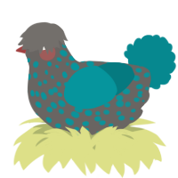 A grey and teal chicken with a speckle pattern