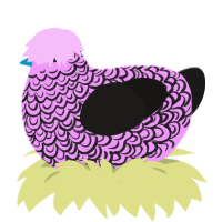 (unnamed), a lavender and sable chicken with a double-lace pattern