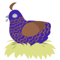 inverted turd, a indigo and brown chicken with a lace pattern