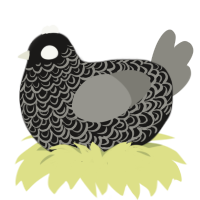 All Seeing, a sable and ash chicken with a double-lace pattern