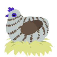 A silver and bark chicken with a bar pattern