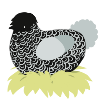 A black and silver chicken with a double-lace pattern