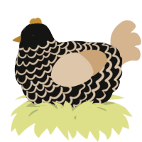 A black and beige chicken with a lace pattern