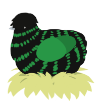 A black and viridian chicken with a bar pattern
