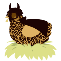 A black and orange chicken with a double-lace pattern