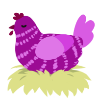 A plum and orchid chicken with a bar pattern
