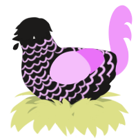 A sable and lavender chicken with a lace pattern