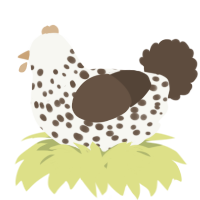 A white and bark chicken with a speckle pattern