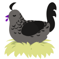 A grey and sable chicken with a half-lace pattern