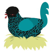 monster from closet, a black and teal chicken with a double-lace pattern